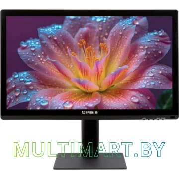 Монитор Irbis SmartView ISM24FIDT